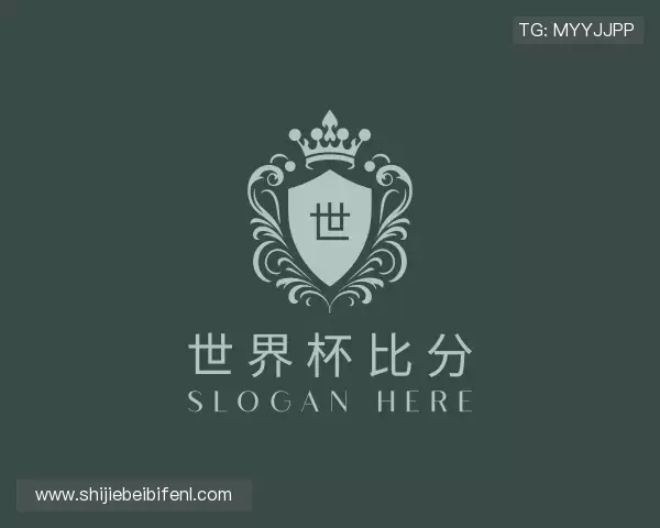 介绍世界杯比分